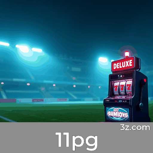 11pg Casino: Programa VIP Exclusivo e Valioso